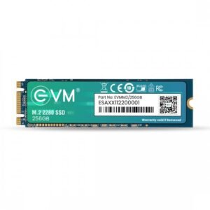 256GB M.2 (2280) SSD