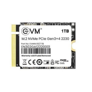 EVM 1TB 2230 NVMe SSD EVMNV30/1TB