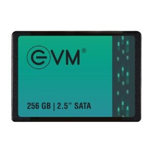 EVM 256GB 2.5 Inch SATA SSD EVM25/256GB