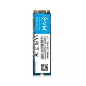 EVM 512GB M.2 SATA SSD EVMM2/512GB