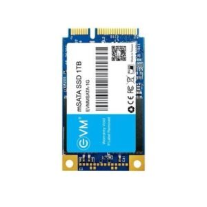 EVM 1TB mSATA SSD EVMMS/1TB