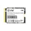 EVM 1TB 2230 NVMe SSD EVMNV30/1TB
